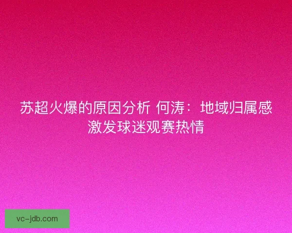 苏超火爆的原因分析 何涛:地域归属感激发球迷观赛热情 苏超火爆的原因分析 何涛:地域归属感激发球迷观赛热情